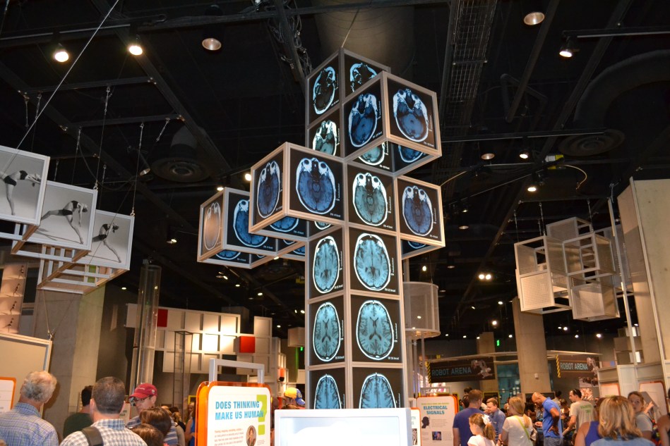 Le sección del cuerpo humano