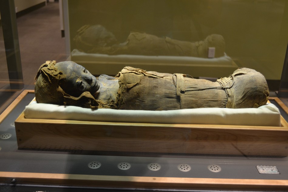 Una momia bien conservada en el museo