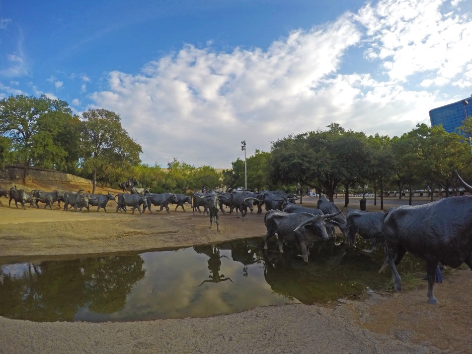 Los toros en Pioneer Plaza
