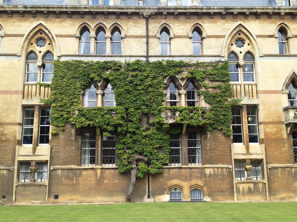 Pared con enrededara en el Meadow Building